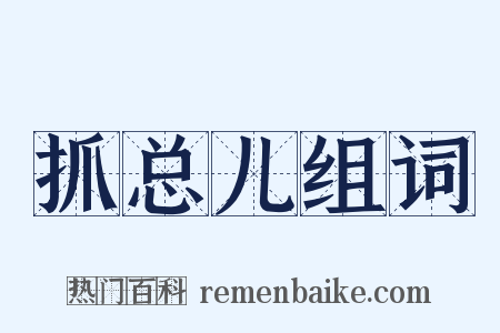 抓总儿组词是什么意思的图片